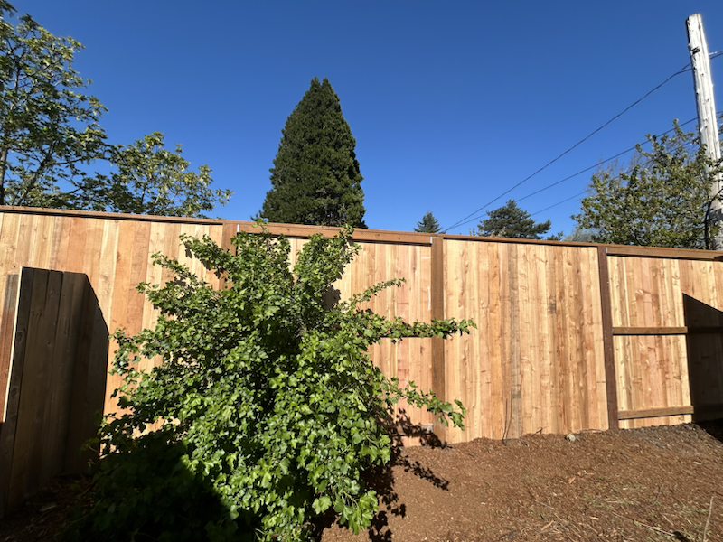 Completed backyard fencing project in Eugene