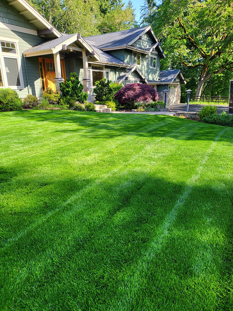 Beautiful, professionally maintained residential home and lawn